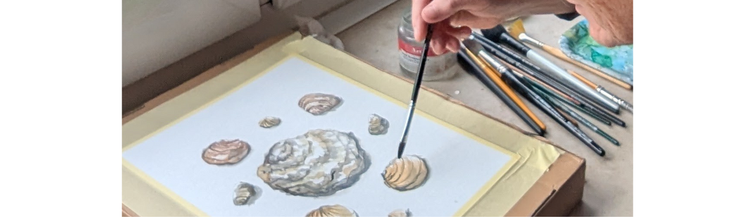 Muschel-Mix: Natürliche Muster aquarellieren