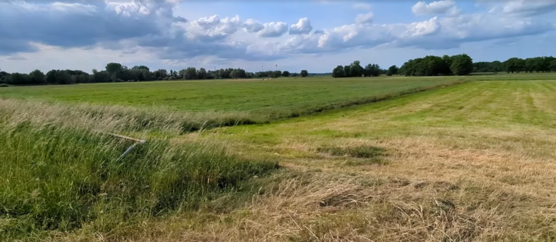 Inspiration Frühsommer: Die Farben des Nordens