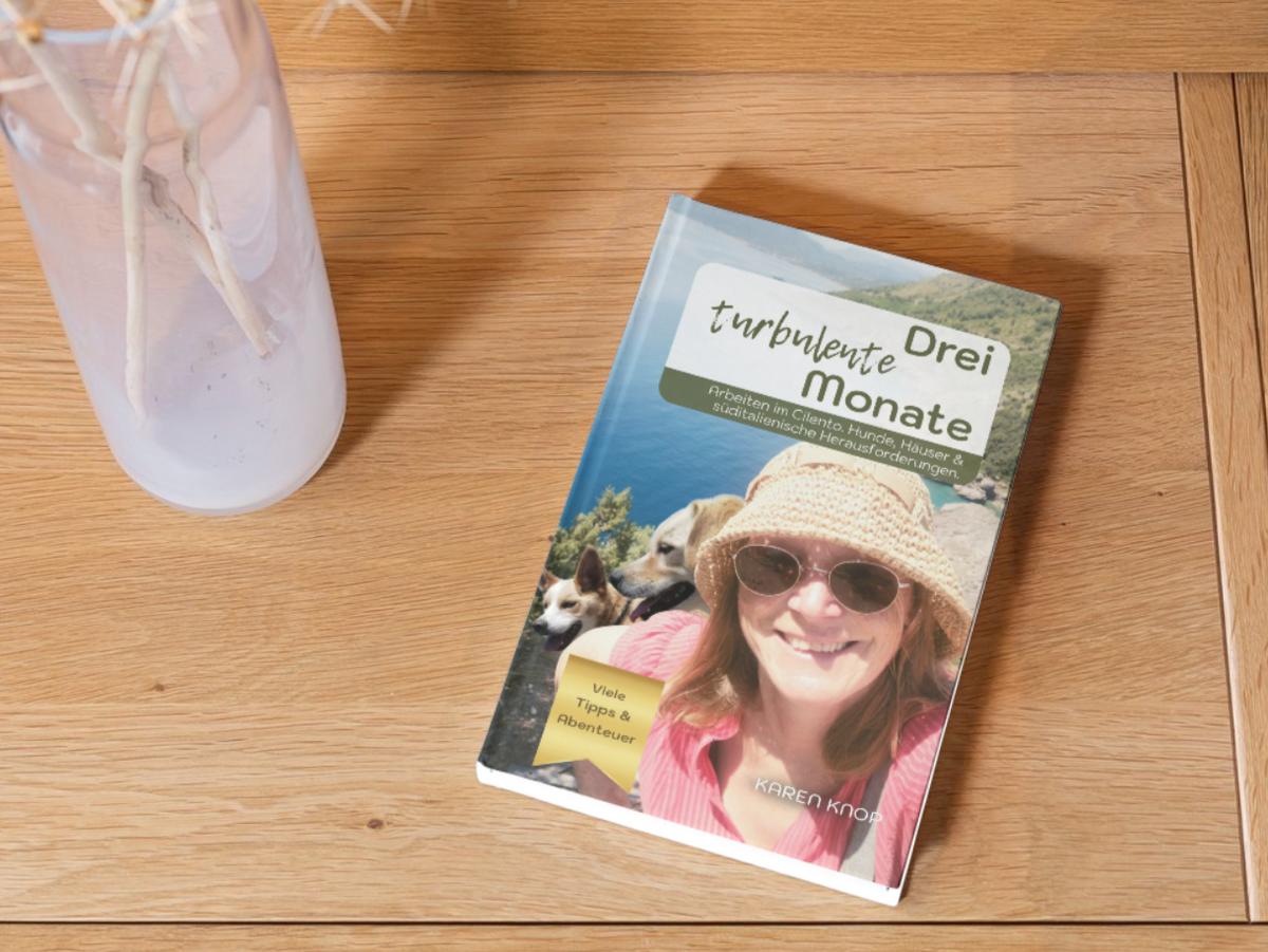 Taschenbuch: Drei turbulente Monate – Arbeiten im Cilento