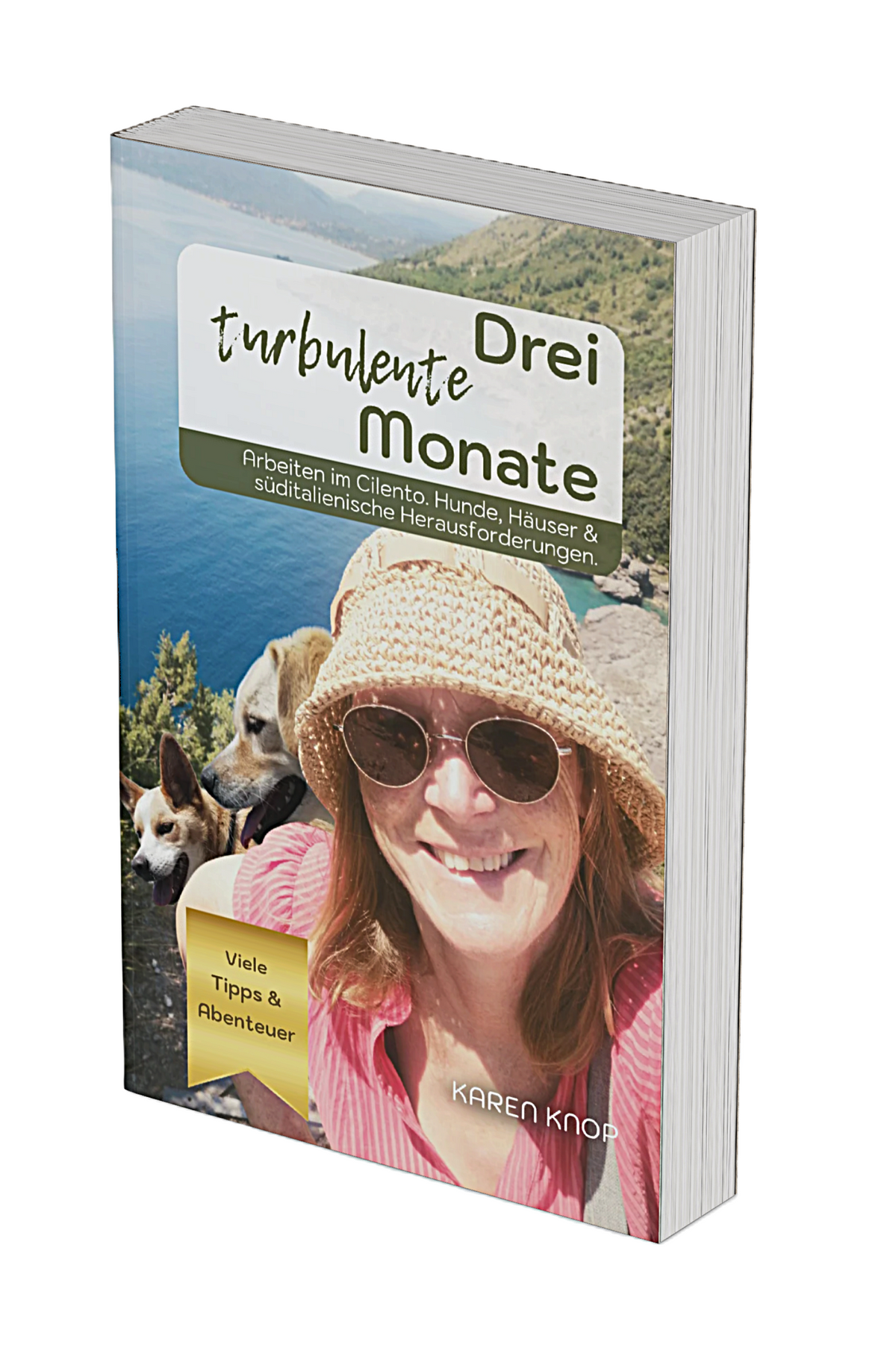 Taschenbuch: Drei turbulente Monate – Arbeiten im Cilento